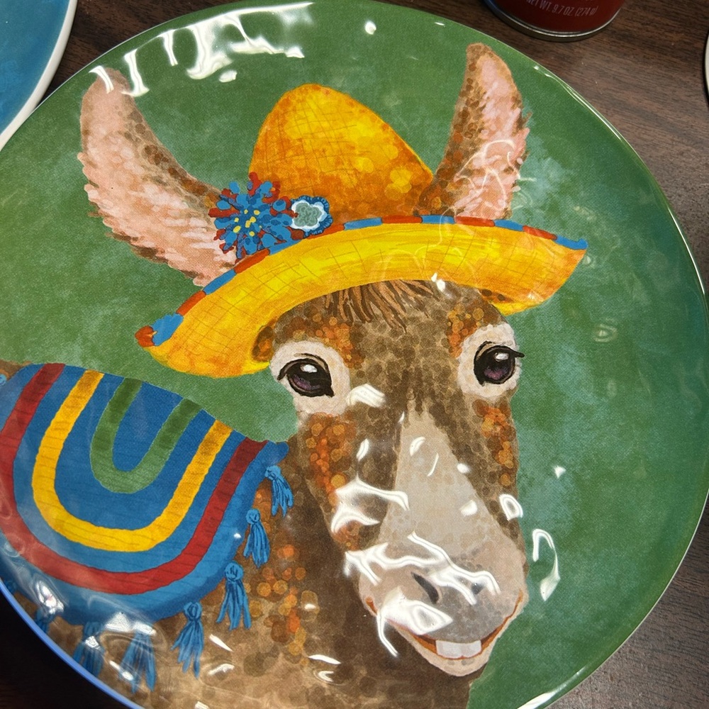 Pier 1 White Earthenware Plate - Picture 4 of 6